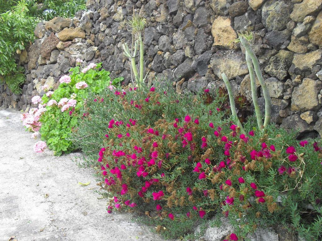 Casa Rural Abuelo Pancho Las Casas  Extérieur photo